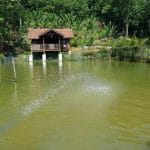 Kampung Sungai Mahang Nilai