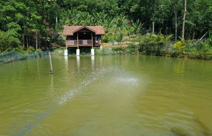 Kampung Sungai Mahang Nilai
