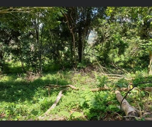 Sungai Lui Hulu Langat