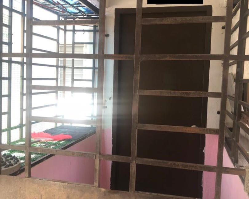 53eed414-db02-484b-8b6e-c1dd964c5028