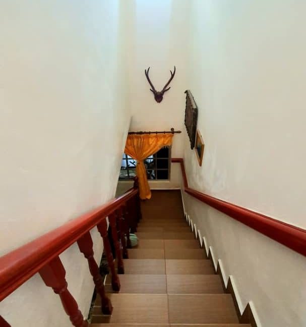 82081a28-e4e1-4c92-b6bd-2bbf0c221486