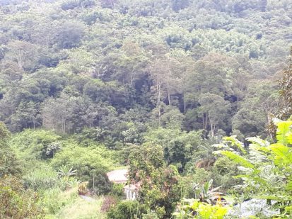 Sungai Tekali ulu Langat