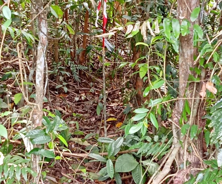 1e011fdb-2b33-4022-923b-2cbc29d23bc8