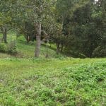 Lebu Jalan Mempaga Bentong