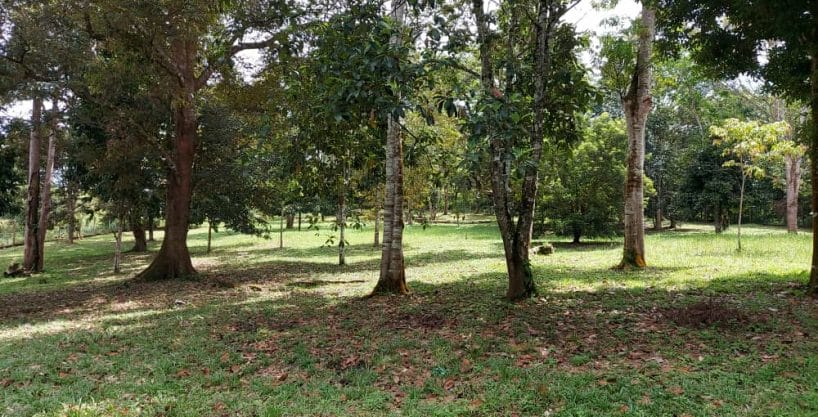 Batu 22 Sungai Lui Hulu Langat