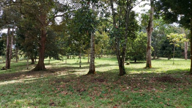 Batu 22 Sungai Lui Hulu Langat