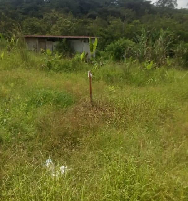 7de9dfe9-622a-455b-8ae6-8385ed7de46b