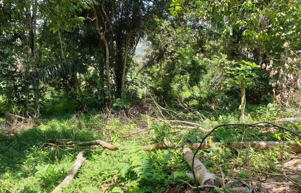 9a42c53c-058a-456b-972c-4a08c322ee17