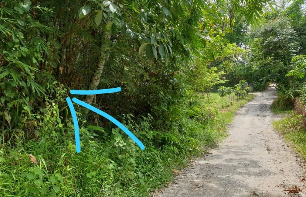 be0889a9-ba1e-4a31-8c00-c746f63aaac5