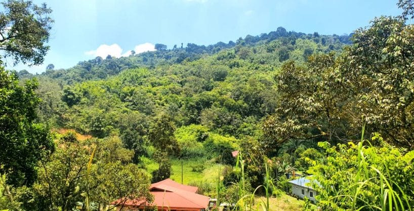 Dusun Tekali Hulu Langat