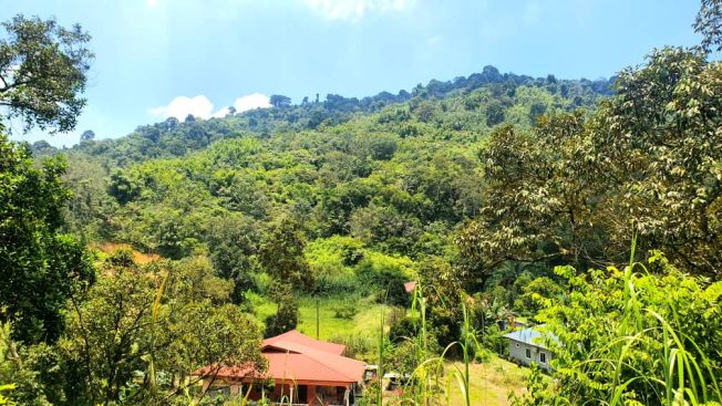 Dusun Tekali Hulu Langat