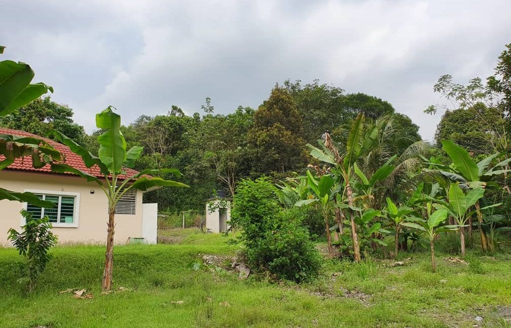 02ae20ae-8433-4317-857c-abe2e80c86ed