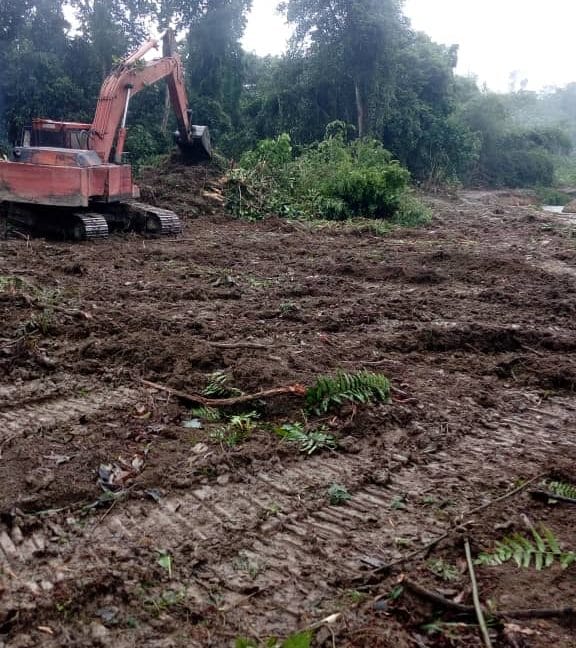 0a1b2e67-3b2d-41ae-b7d9-ea1d09d5db98