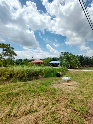 Kampung Jenjarum Tanjung 12
