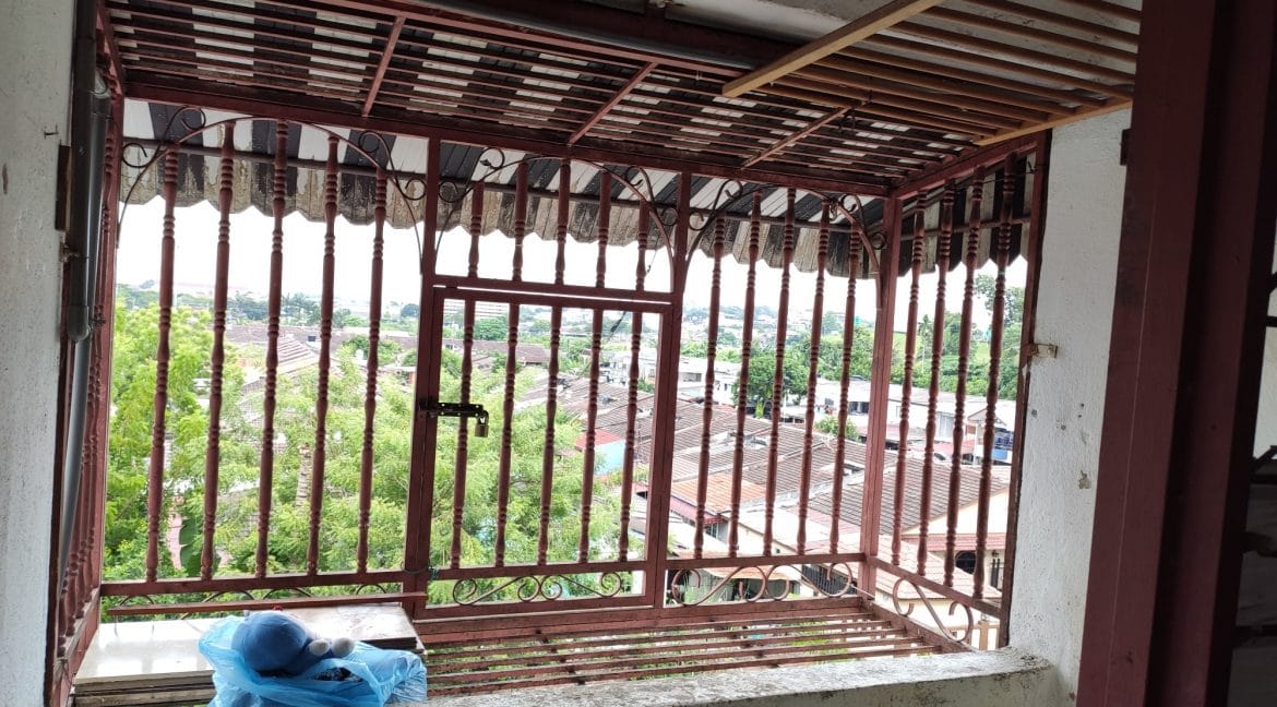 120131589_354651832348547_6054348119527707991_o