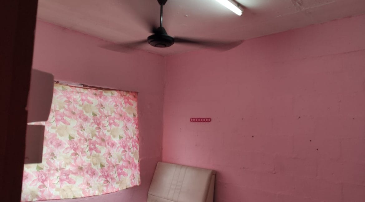 120202822_354651702348560_8691368632303340348_o