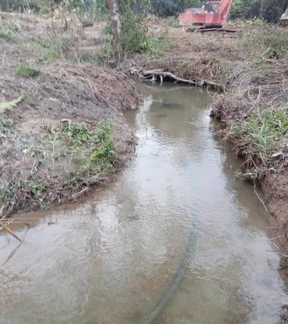 1701152c-0d33-47f8-84a6-f749dde2f5d8