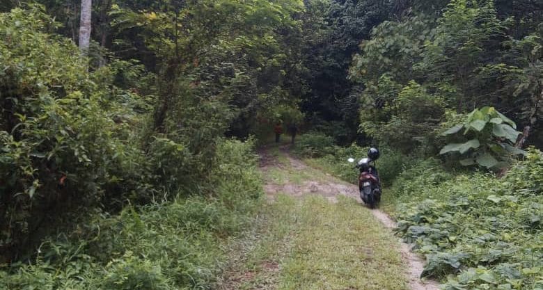 Agen / Ejen Hartanah Berdaftar di Sungai Lui