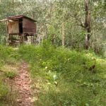 EJEN HARTANAH BERDAFTAR DENGAN LEGACY REAL PROPERTY. AKTIF DI KAWASAN Kampung Padang Hulu Langat