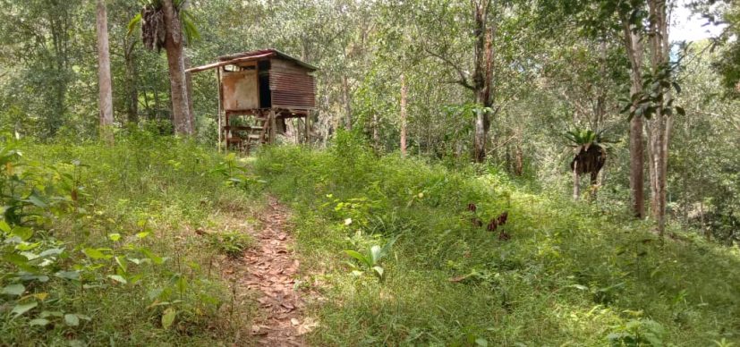 Kampung Padang Hulu Langat