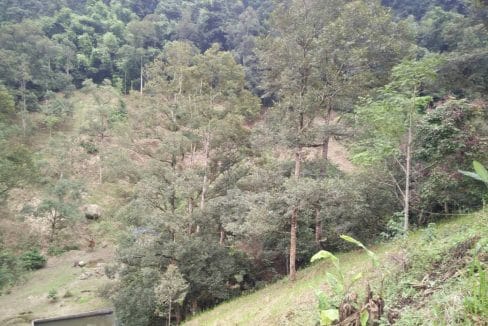 Dusun Buah Hulu Langat