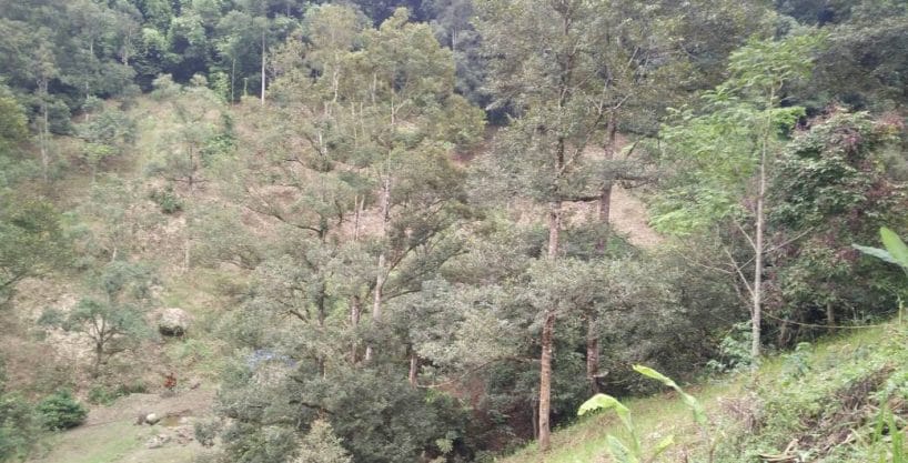Dusun Buah Hulu Langat