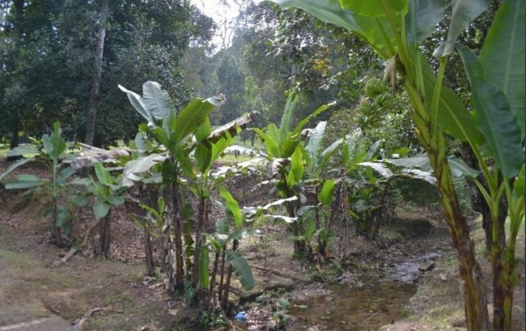 32d515ce-4003-4774-94a9-18c6c84735ee