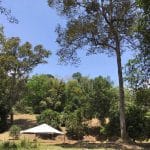 Dusun Durian Hulu Langat