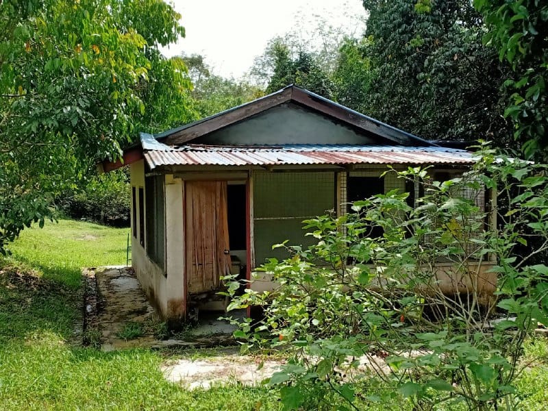 4950acdc-d2d7-4b6f-91bb-6249f7c29511