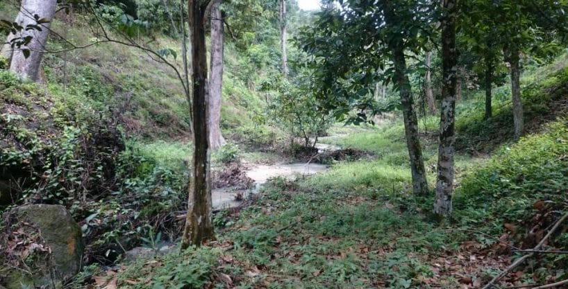 Agen / Ejen Hartanah Berdaftar di Sungai Makau