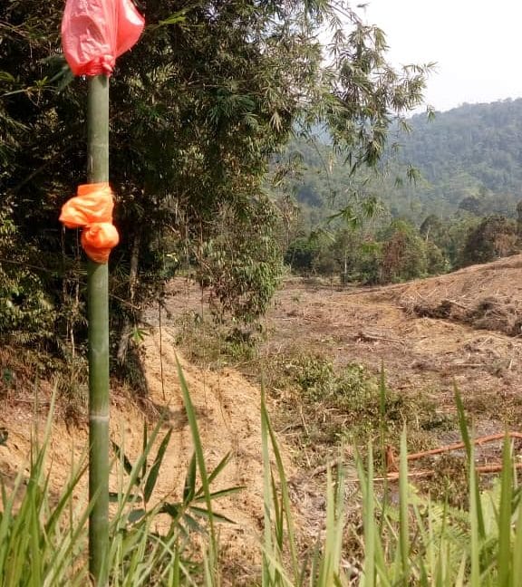 4deddc5f-48a6-429a-8d6e-b72e85e6704b