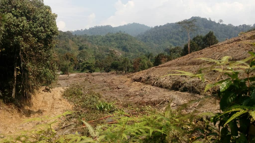 Sungai Lui Mukim Hulu Langat