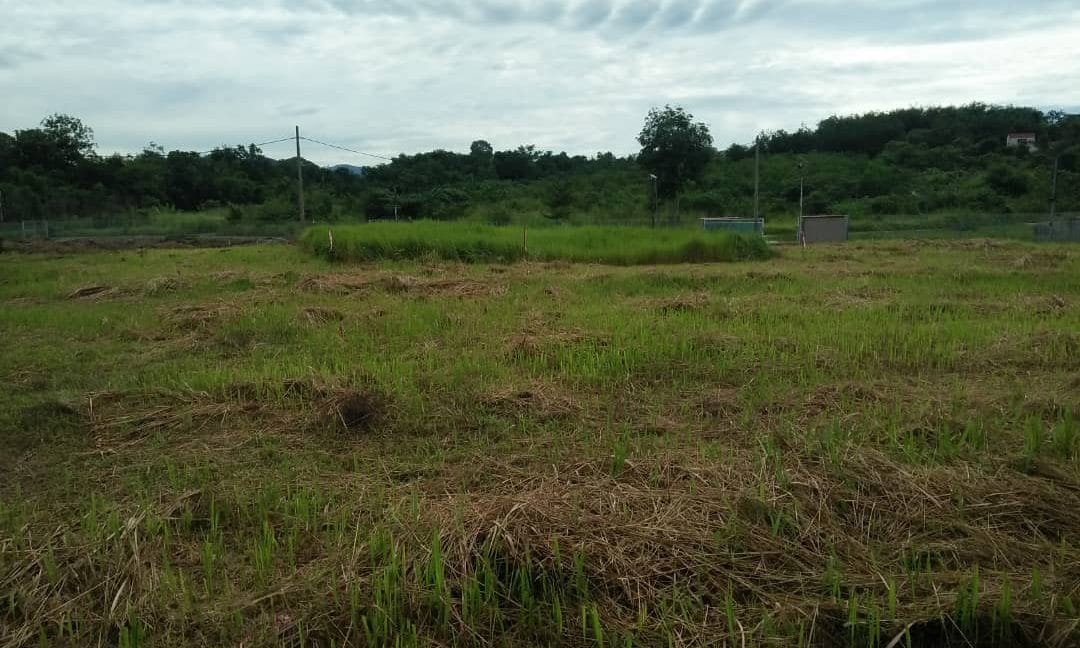 59593669-6c99-4cf0-88c8-b376567b229b