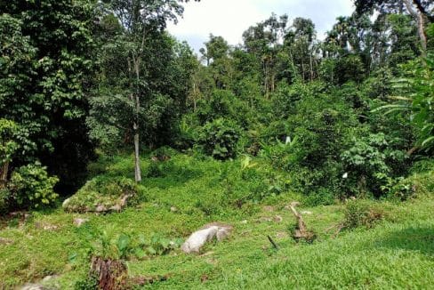 Tanah Untuk Dijual Hulu Langat