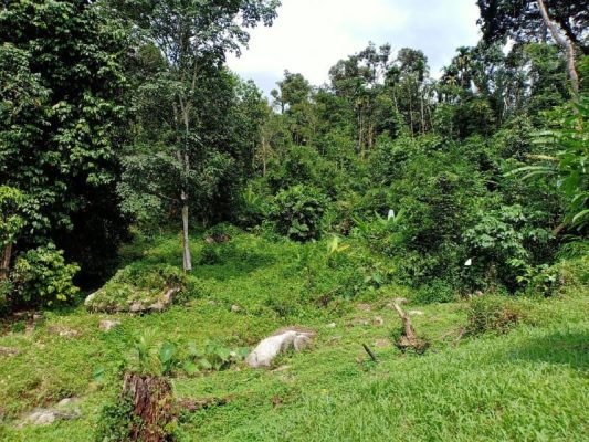 Batu 19.5 Hulu Langat