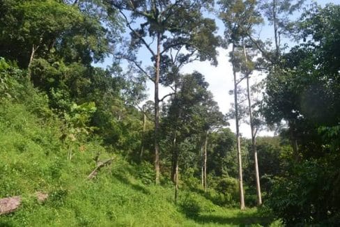 Tanah Untuk Dijual Sungai Gahal