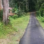 Batu 20 lubuk kelubi