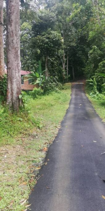 Batu 20 lubuk kelubi