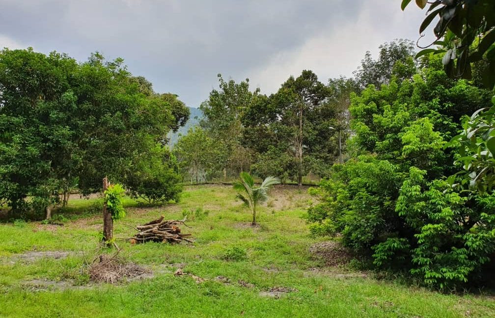 817787fa-c4c3-4633-8943-9337670298c9