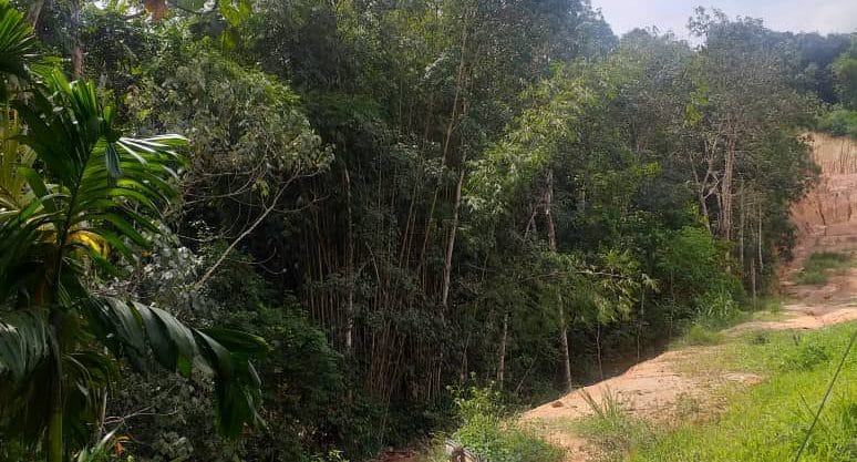 Tanah Pertanian Hulu Langat