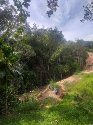 Tanah Agriculture Hulu Langat