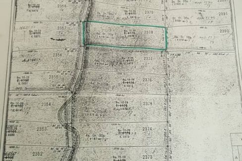 Kebun Buah Hulu Langat