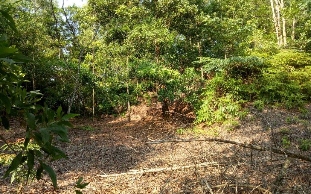 c51b6a74-660f-433f-a2b0-71baa648cd7e