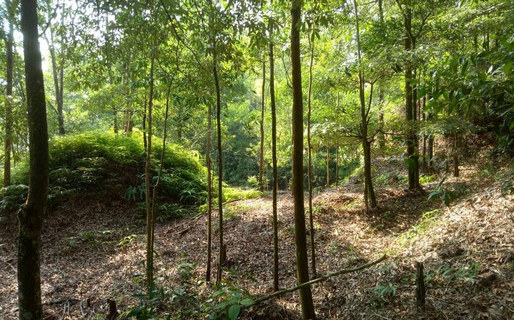 d72b4f7f-e092-418d-92d3-57c6e7096630