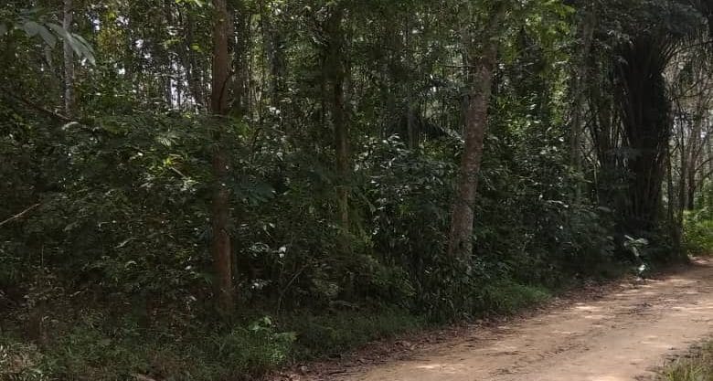 Tanah Karai Kuala Kangsar