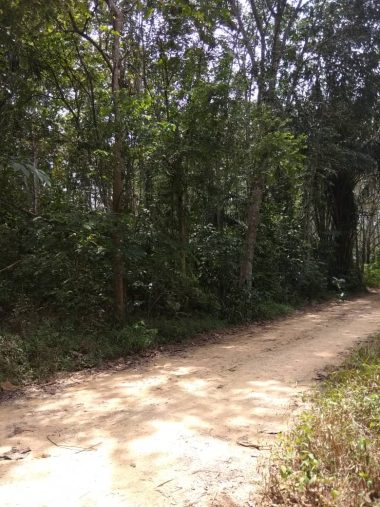 Tanah Karai Kuala Kangsar
