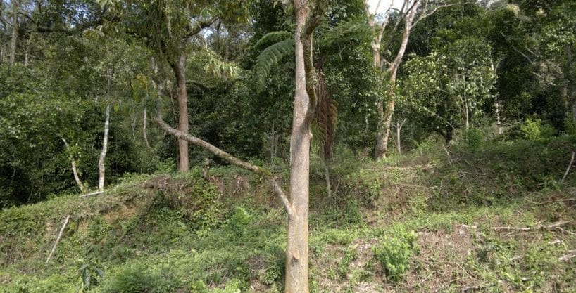 Tanah Hulu Langat untuk dijual