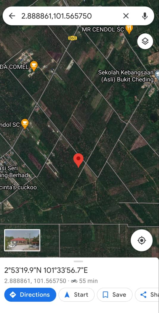 Agriculture Land Bukit Cheeding