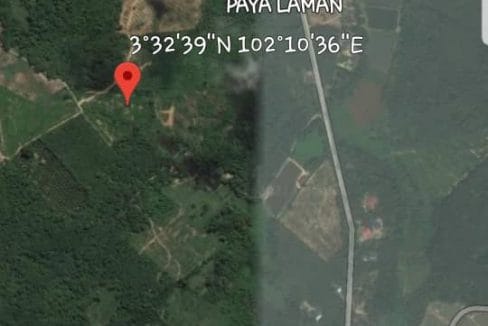 Tanah Pertanian Kampung Paya Laman Lanchang