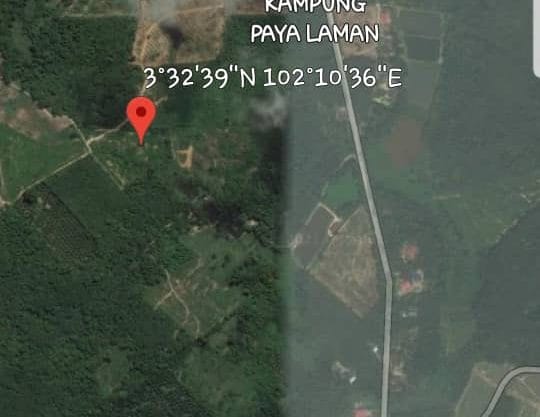 Tanah Pertanian Kampung Paya Laman Lanchang